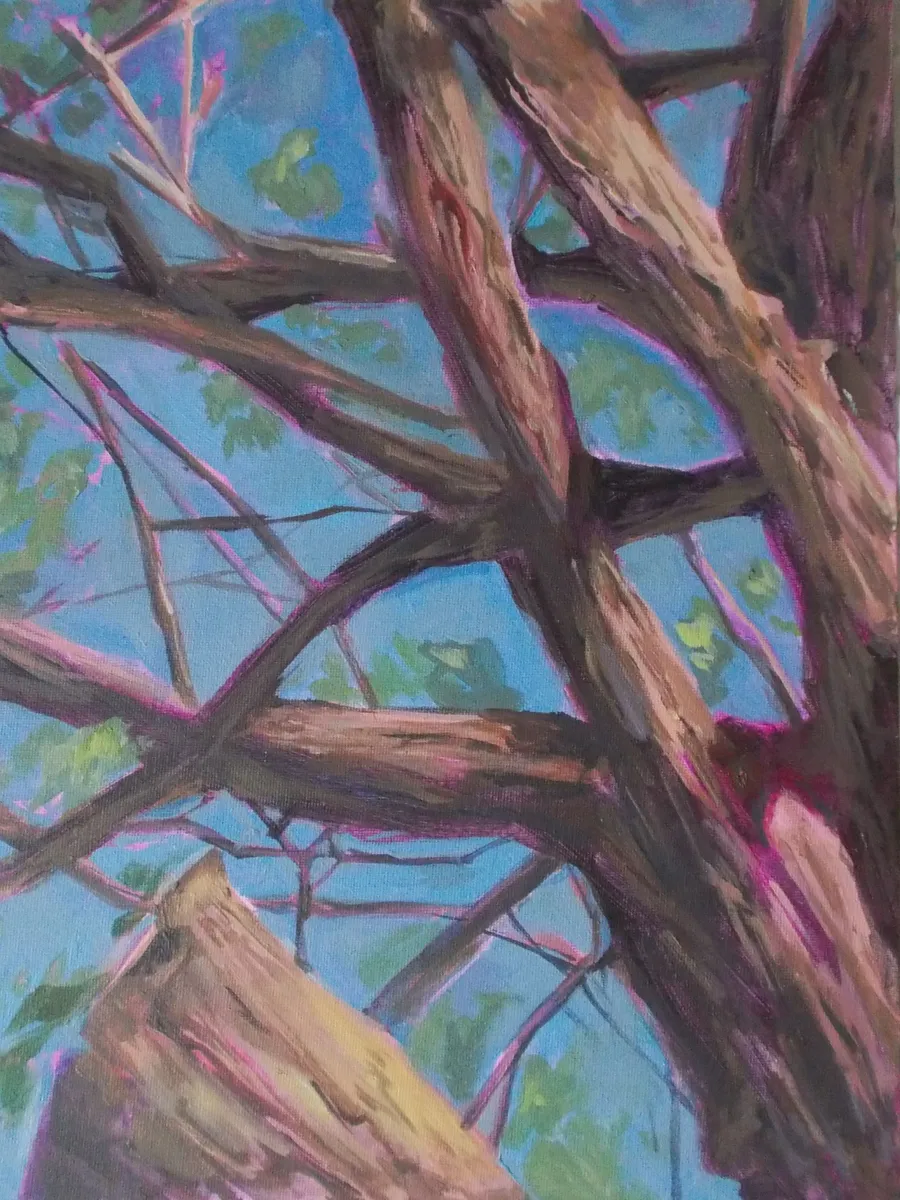 Perched (2/6)